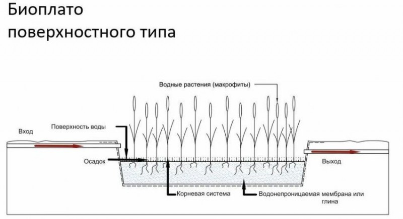 Тип биоплато