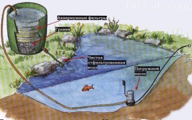 Фильтр для пруда с рыбой своими руками схема