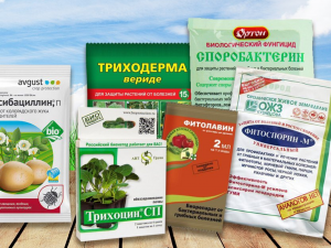 Чем обработать почву от вредителей осенью
