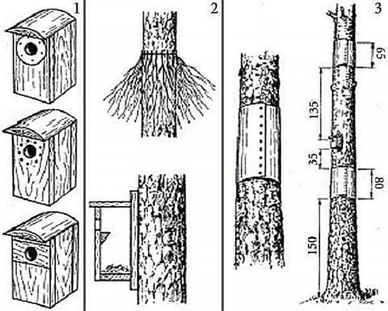Защита скворечника. Скворечник синичник трясогузочник. Скворечник дуплянка. Синичник дуплянка. Крепление скворечника к дереву.
