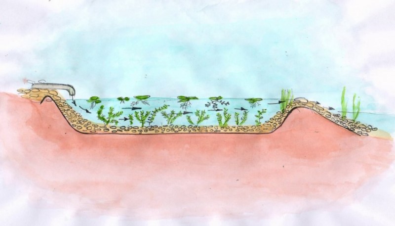 Биоплато в виде мелководного пруда