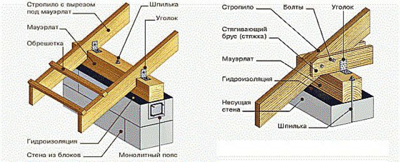 Мауэрлат на плане