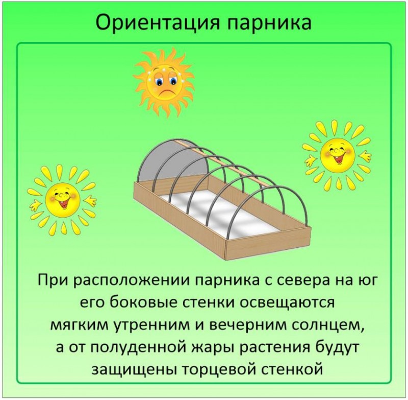 Место для парника