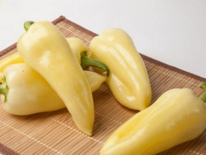 сорт перца белозерка. перец сладкий белозерка. сорт перца белозерка. перец сладкий лумина белозерка. перец болгарский белозерка.