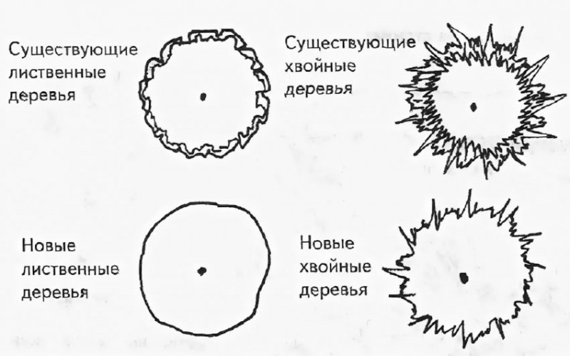 Условные обозначения деревьев и кустарников на плане