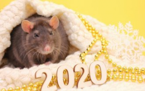 Как выбрать стильный наряд для Нового года 2020, чтобы отразить год Крысы во всей его красе?