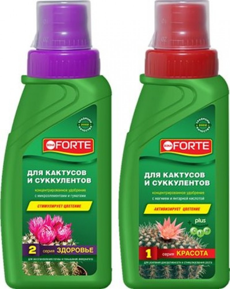 биогумус для комнатных растений и рассады. для комнатных растений удобрение гуми-оми. удобрение для каланхоэ. /24. удобрение для каланхоэ.