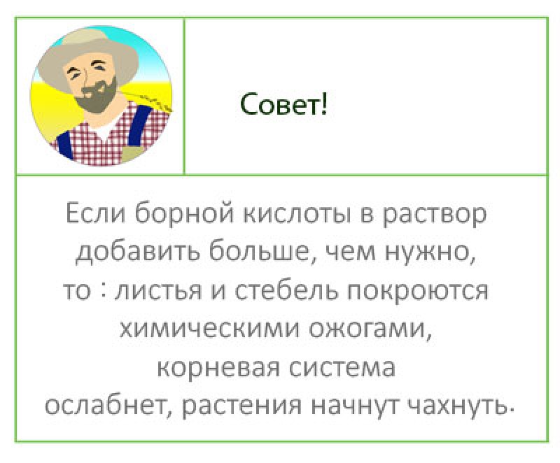 Перекармливание бором