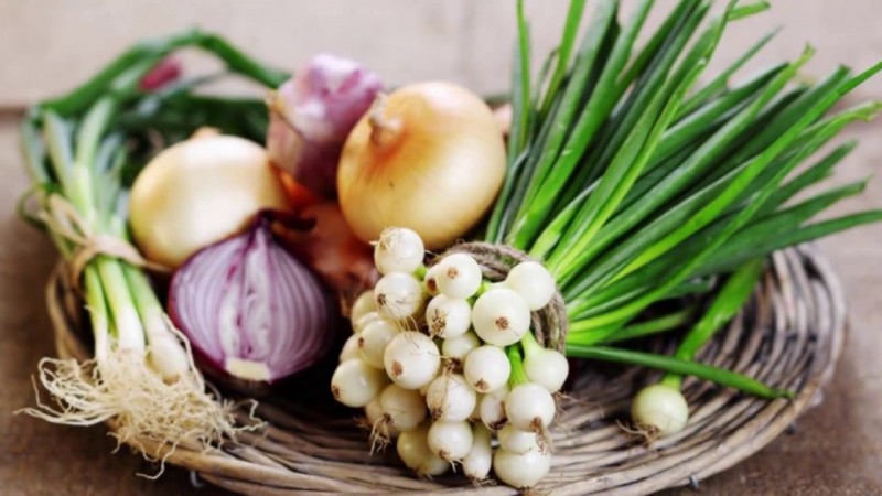 польза и вред лука