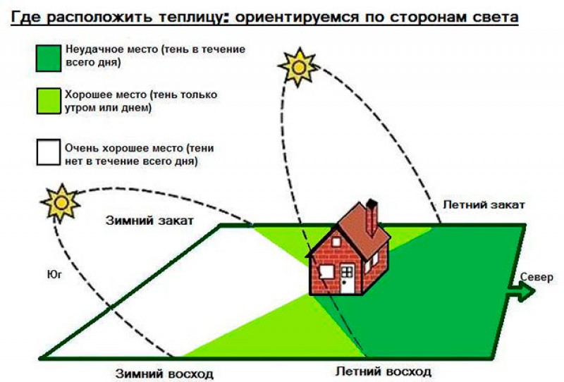 Место для теплицы