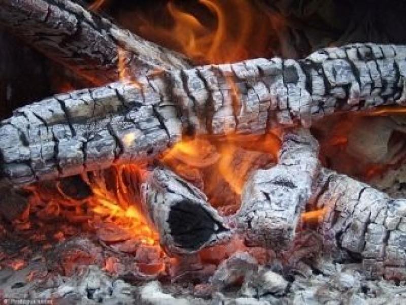 Дрова В Виде Черепов