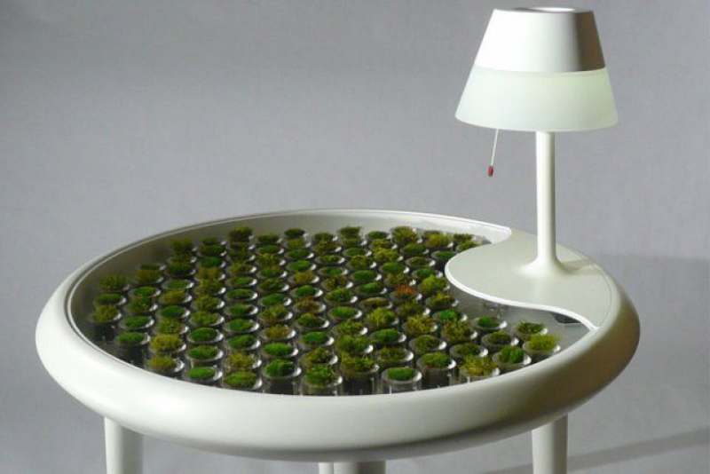 Table generate. Живая мебель. Дизайнерский столик от Emily Wettstein. Травка а в средине стол. Bioo`g`it.