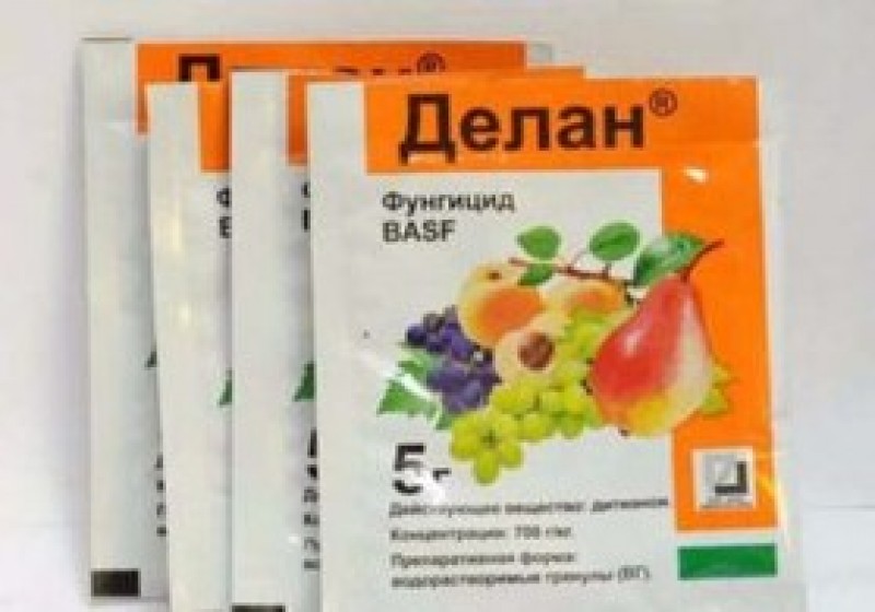 Ожерелье или гор
