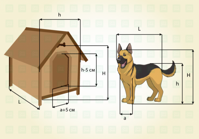 Будка собаки чертеж с размерами для овчарки