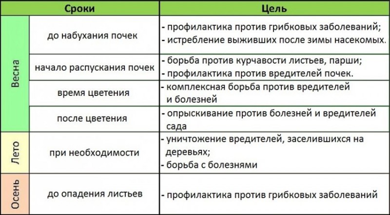 Цели обработки персика по сезонам