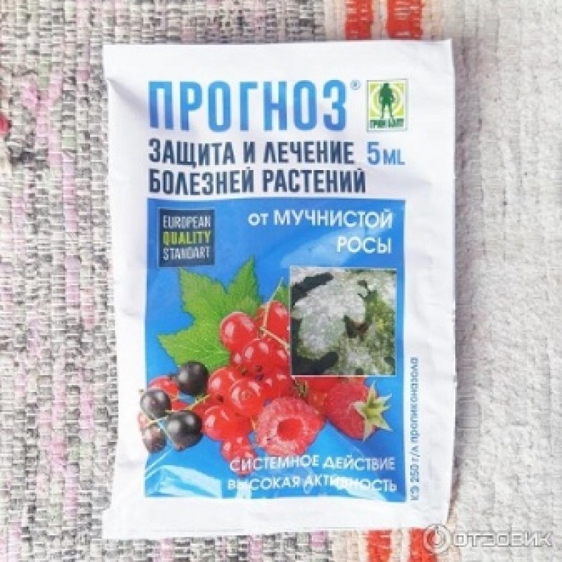 Купорос от мучнистой росы. Грин Бэлт от мучнистой росы. Грин Бэлт защита от мучнистой росы. Фунгициды против мучнистой росы. Средства от мучнистой росы на цветах.