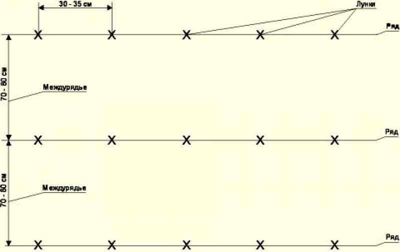 Схема посадки 70 на 30