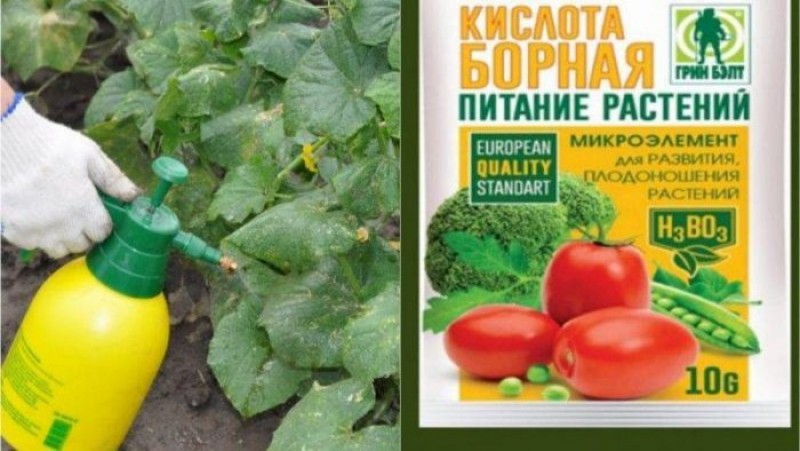 Подкормка бором