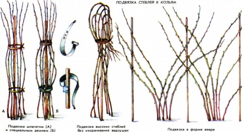 Коловой метод