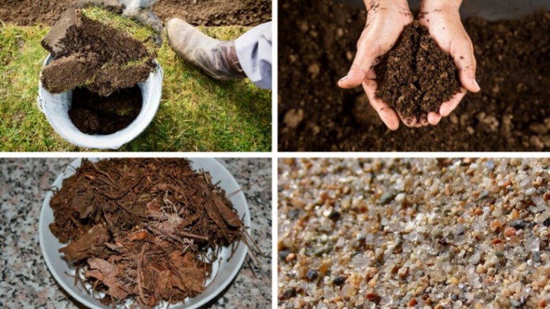 Компоненты почвы для выращивания гортензии