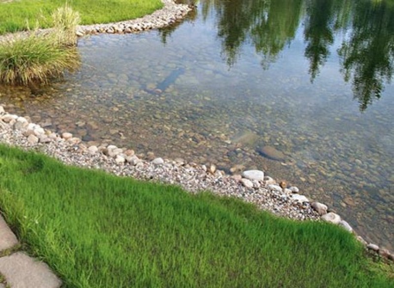 Берег водоема это. Водоем с биоплато. Укрепления стен пруда. Благоустройство береговой линии прудов. Берег водоема это.