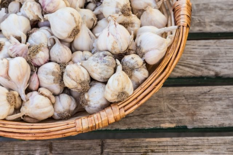 Хранение чеснока. Хранение чеснока в корзине. Garlic Basket. How to Store garlic in the Winter in the Apartment.