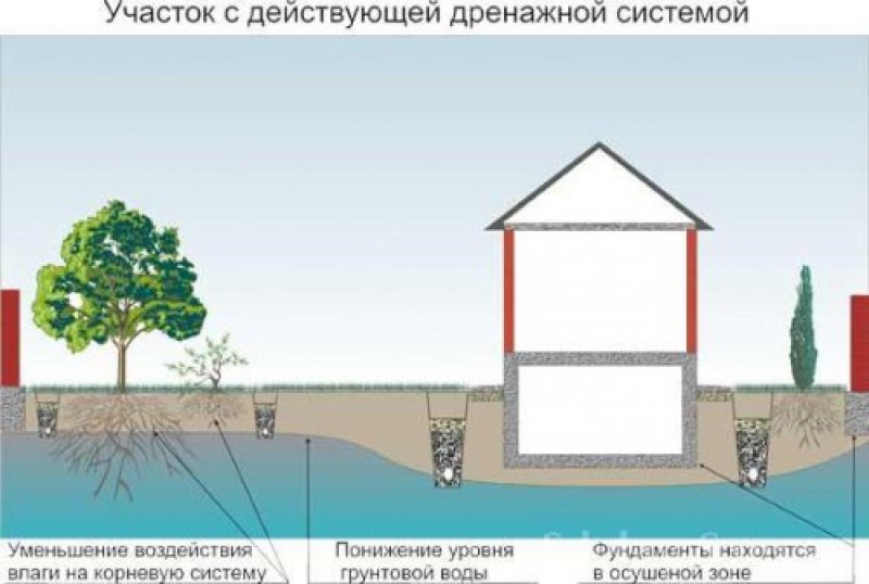 Как понизить уровень грунтовых вод при помощи дренажной системы