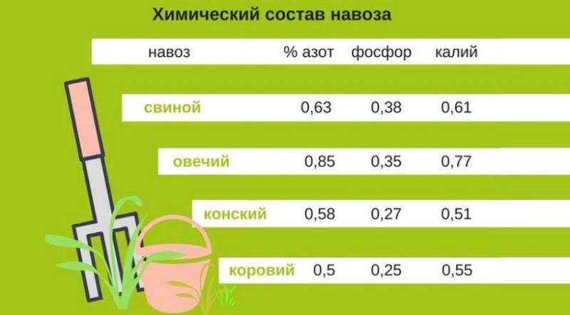 Химический состав навоза. Содержание элементов питания в навозе крс. Химический состав коровьего навоза таблица. Состав навоза. Конский навоз химический состав.