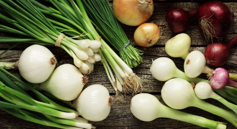 лук от болезней