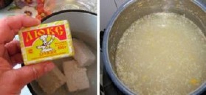 Картофельный отвар для рассады перцев и помидоров и практически из отходов делаем необычный стимулятор роста, с которым растения растут на глазах