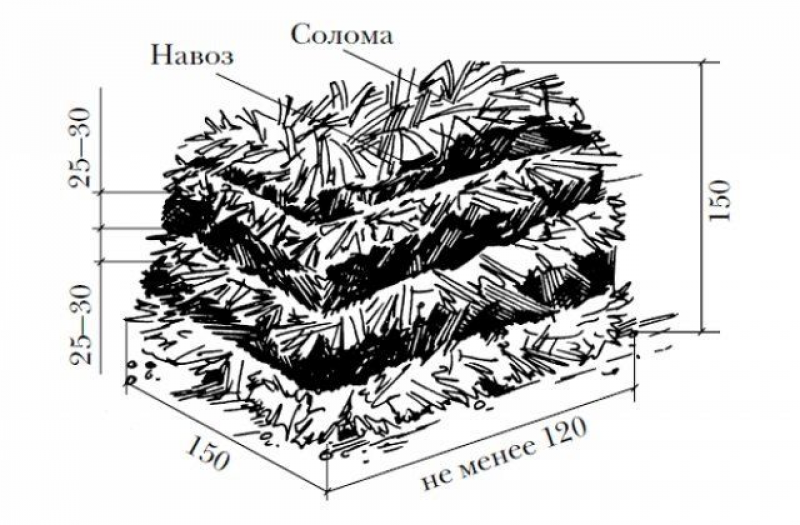 Вентиляция для шампиньонов схема
