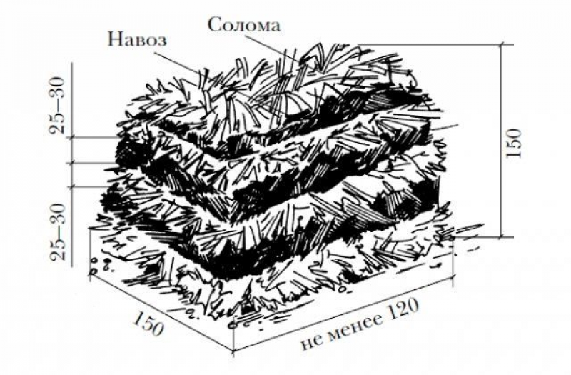 Вентиляция для шампиньонов схема - 98 фото