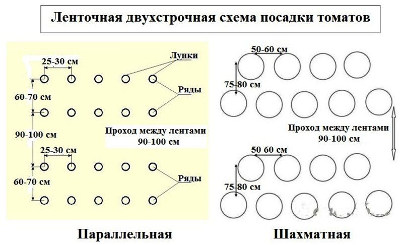 Оптимальная ширина грядки в теплице