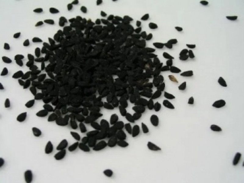 Лук чернушка семена. Чернушка лук посевная семена. Чернушка лук посевная семена. Как собрать чернушку. Лук чернушка семена.