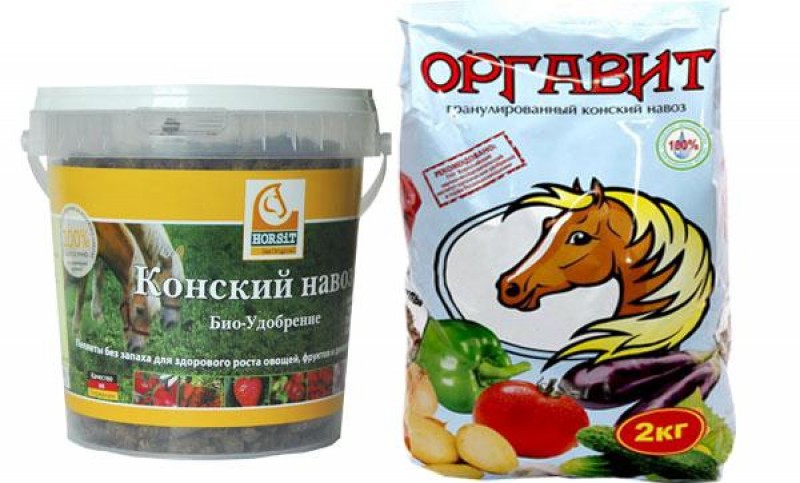 Как правильно развести конский навоз. Концентрированный конский навоз. Как правильно развести конский навоз. Подкормка концентратом конского навоза. Как правильно развести конский навоз.