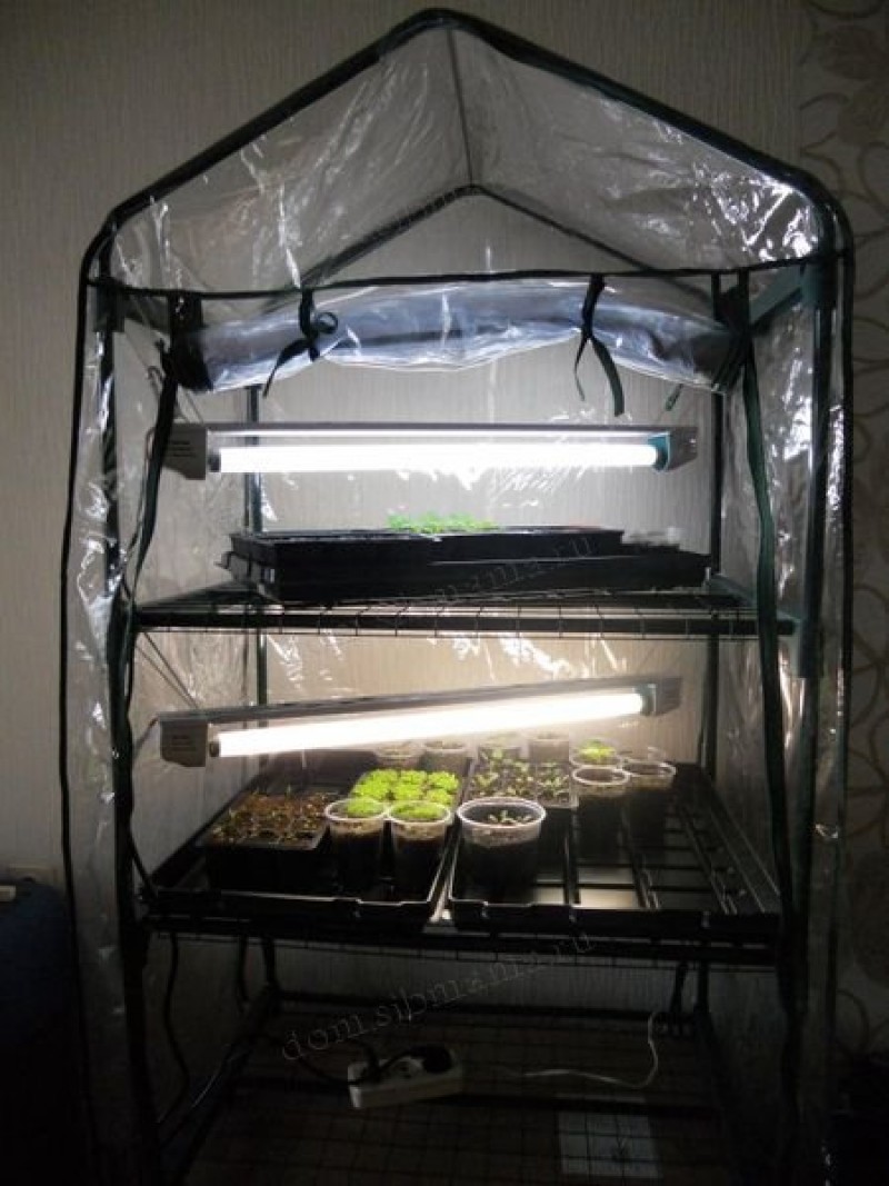 Светильники для рассады на подоконнике. Досвечивание рассады. Лампа для рассады. Люминесцентные лампы 36/840 спектра для рассады. Окно рассада лампа.