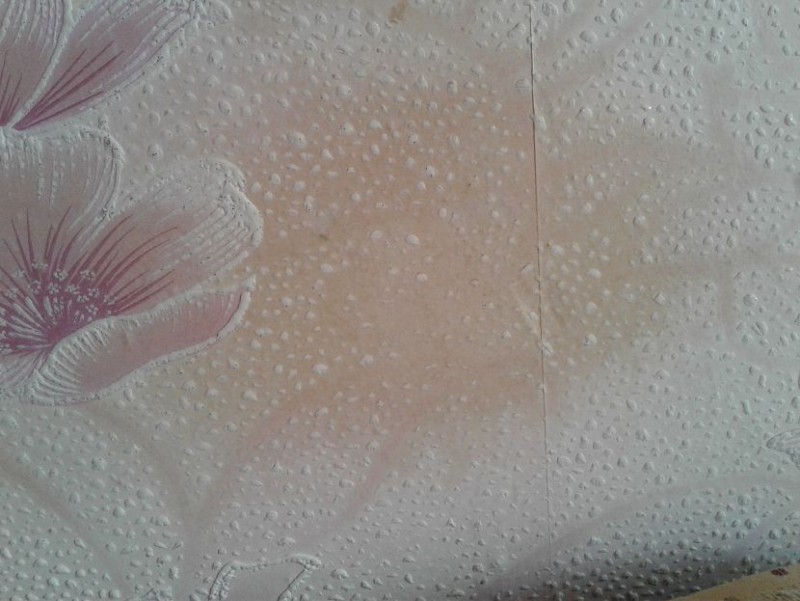 Пятно на обоях