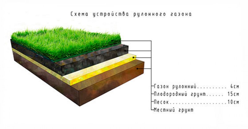 Рулонный газон схема