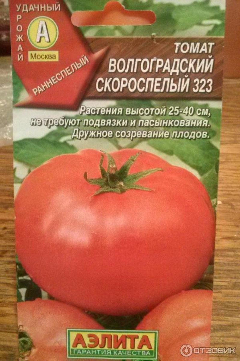 Томаты волгоградские описание. Томат Волгоградский скороспелый 323. Волгоградский скороспелый 323 семена. Волгоградский скороспелый томат описание.