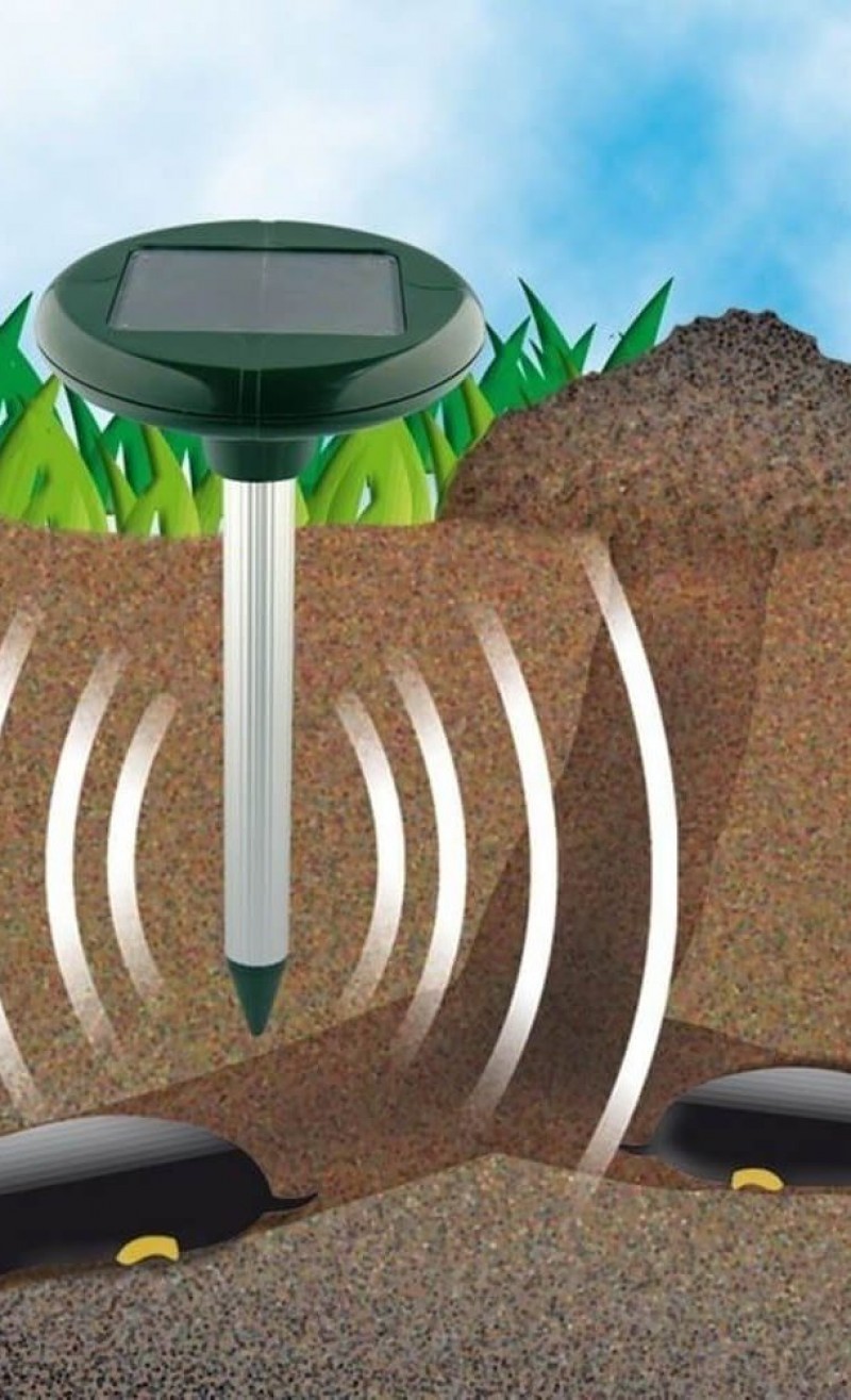 Обработка от кротов. От кротов на дачном участке отпугиватель. Шум от кротов. Банки от кротов на даче. Растения от кротов на даче.