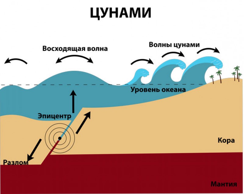 Образование цунами схема