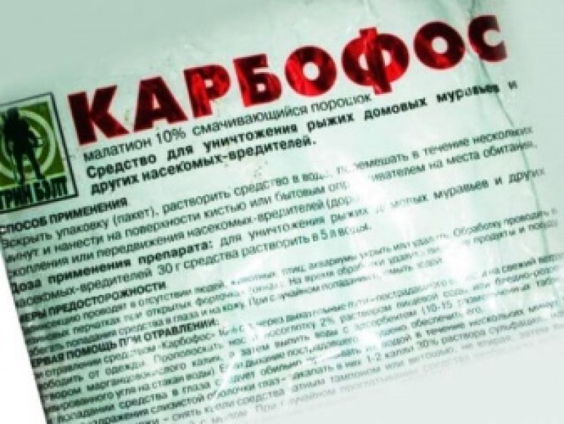 Карбофос инструкция по применению. Малатион (Карбофос). Карбофос от клопов. Потравить клопов Карбофос. Раствор карбофоса.